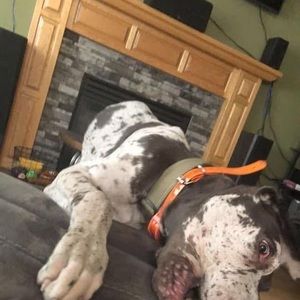 Meet your Posher, Hailey